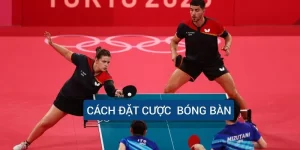 cach-dat-cuoc-bong-ban-tai-nha-cai-ok9
