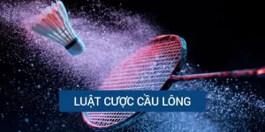 luat-cuoc-cau-long