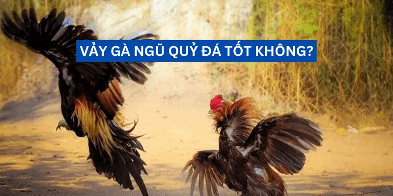 vay-ga-ngu-quy-da-tot-khong