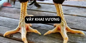 vay-khai-vuong